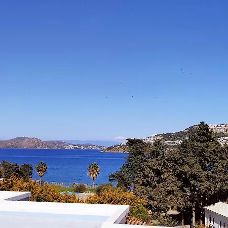Liman 호텔 Bodrum